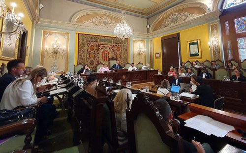 Imatge de la notícia Declaració Institucional al Ple de la Paeria per protegir la singularitat de l'Horta davant les línies MAT