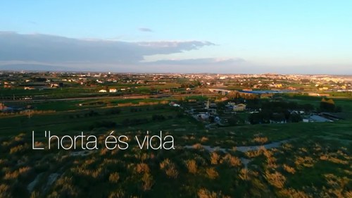 Imatge de la notícia La Paeria edita unes píndoles audiovisuals per posar en valor els productes de l’Horta i els seus agricultors 