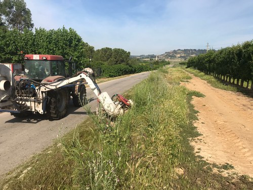 Imatge de la notícia La Paeria inicia nous treballs de desbrossament de camins de l’Horta 