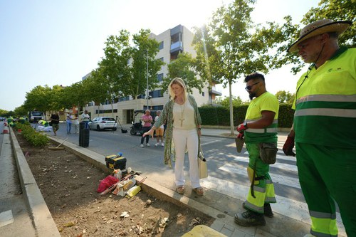 Imatge de la notícia La Paeria renova l’enjardinament de la mitjana del passeig de l’Onze de Setembre