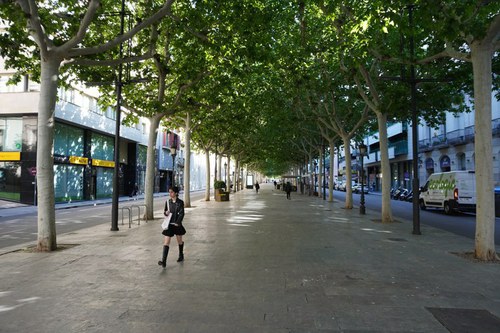 Imatge de la notícia S’obre el termini per presentar ofertes per a la remodelació de la rambla de Ferran