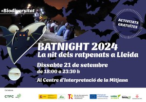 Bat Night 2024