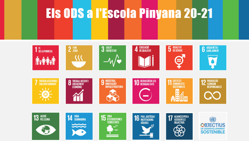 Imatge de la notícia A l’Escola Pinyana de Lleida estrenem la web dels ODS