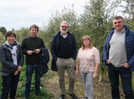 La Paeria dóna suport als productes de proximitat dels agricultors de l’Horta 