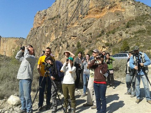 Imatge de la notícia 20 alumnes aprenen a identificar els rapinyaires de la plana de Lleida