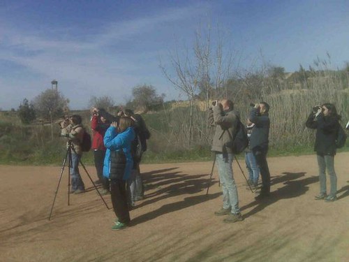 Imatge de la notícia Curs per aprendre a identificar i a conèixer els ocells més comuns de la plana de Lleida