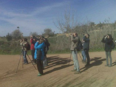 Curs per aprendre a identificar i a conèixer els ocells més comuns de la plana de Lleida