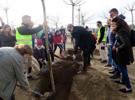 Imatge de la notícia El paer en cap, Fèlix Larrosa, assisteix a la plantada d’arbres a l’escola El Vilot de Sucs 