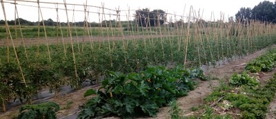 El Viver d’Agricultors de Rufea incorpora dos nous projectes ecològics amb component social 