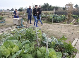 Imatge de la notícia Els agricultors de l’Horta donen a conèixer la seva activitat i productes amb visites comentades 