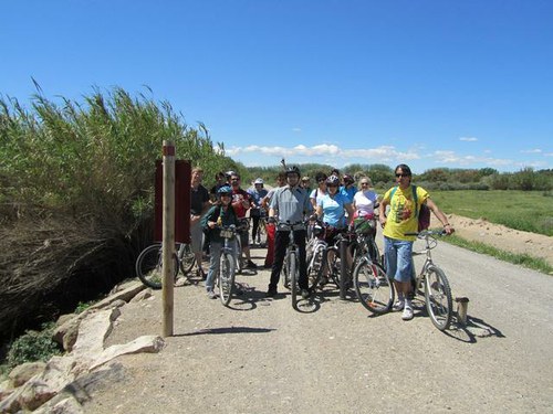 Imatge de la notícia Els Aiguamolls de Rufea, referent per a l'observació de fauna de zones humides a Lleida