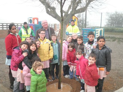 Imatge de la notícia Els alumnes de Creu del Batlle participen en la plantació d'arbres al pati de l'escola