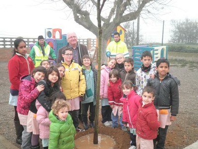 Els alumnes de Creu del Batlle participen en la plantació d'arbres al pati de l'escola