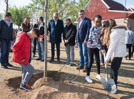 Els alumnes de l’Escola de Magraners planten els arbres de la reforma del pati que ells mateixos van idear 