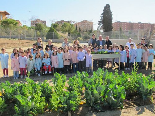 Imatge de la notícia Els alumnes de l'Escola Països Catalans planten arbres al pati per millorar el seu entorn natural més proper