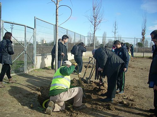 Imatge de la notícia Els alumnes de l'INS Maria Rúbies realitzen una plantada d'arbres i arbusts al centre escolar dins el programa Agenda 21 Escolar