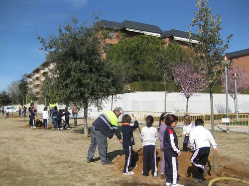 Imatge de la notícia Els alumnes del Joc de la Bola planten arbres al voltant del centre educatiu