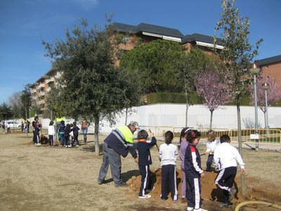 Els alumnes del Joc de la Bola planten arbres al voltant del centre educatiu