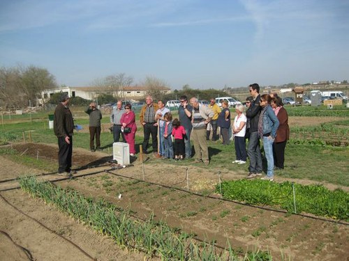 Imatge de la notícia Els Horts familiars de Rufea reben la primavera amb diverses activitats