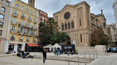 Els informes sobre la mèlia de la plaça Sant Joan recomanen talar-la per un risc "molt probable" de caiguda 