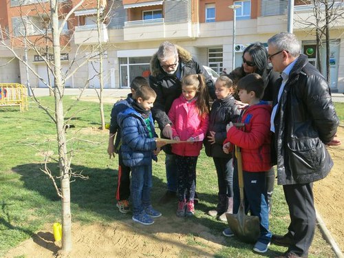 Imatge de la notícia Els nens i nenes de l'Escola Pinyana planten 26 nous arbres a Balàfia