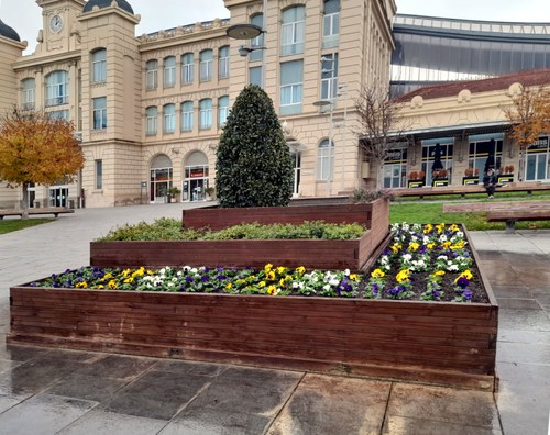 Imatge de la notícia Els serveis de Jardineria planten més de 3.200 flors en diferents espais de la ciutat 