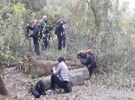 Èxit del curs de macrofotografia de natura al Parc Municipal de la Mitjana 