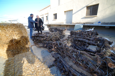 Instal·lació de 19 nous nius de cigonya per l’enderroc de les antigues sitges de Pardinyes 