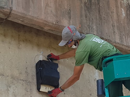 Imatge de la notícia Instal·lació de caixes refugi per a ratpenats al parc del riu 