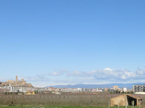 Imatge de la notícia L'Ajuntament de Lleida ha dut a terme una desena d'actuacions de millora en diverses partides de l'Horta durant el primer trimestre de l'any