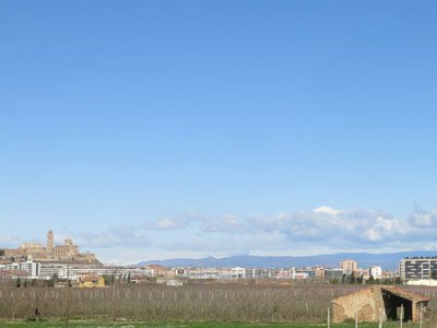 L'Ajuntament de Lleida ha dut a terme una desena d'actuacions de millora en diverses partides de l'Horta durant el primer trimestre de l'any