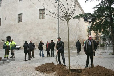 L'Ajuntament de Lleida inicia la campanya de plantació d'arbres