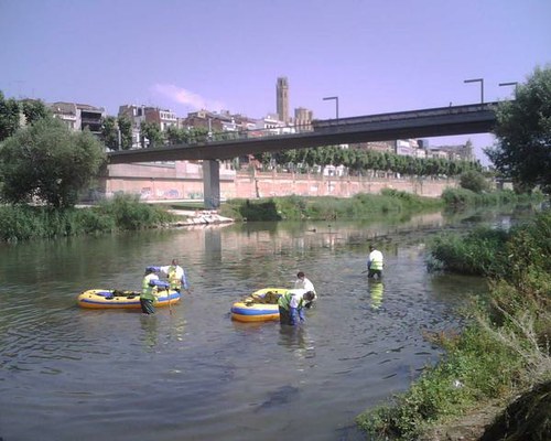 Imatge de la notícia L'Ajuntament de Lleida inicia les tasques de neteja de macròfits de la llera del riu Segre