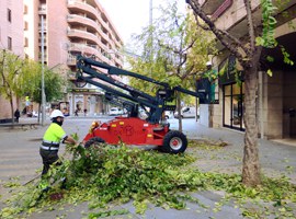 L’Ajuntament de Lleida porta a terme una esporga selectiva per aconseguir l’òptima il·luminació dels carrers i places 