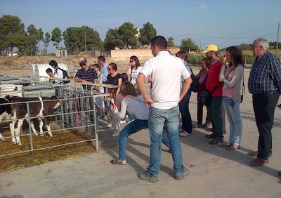 L'Horta de Lleida difon la seva producció agrícola i ramadera amb visites guiades