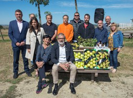 Imatge de la notícia La marca Horta de Lleida es posa en marxa amb l’acreditació de les primeres 22 empreses productores 