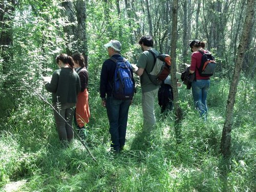 Imatge de la notícia La Mitjana, un lloc excepcional per a l'estudi de la vegetació de les zones humides