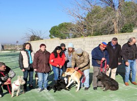 Imatge de la notícia La Paeria destaca el bon funcionament de la Canera i el rigor de l’atenció que els seus professionals dediquen als animals 