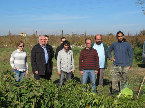 Imatge de la notícia La Paeria endega un projecte pioner per a la introducció de les hortalisses de l'Horta a les escoles