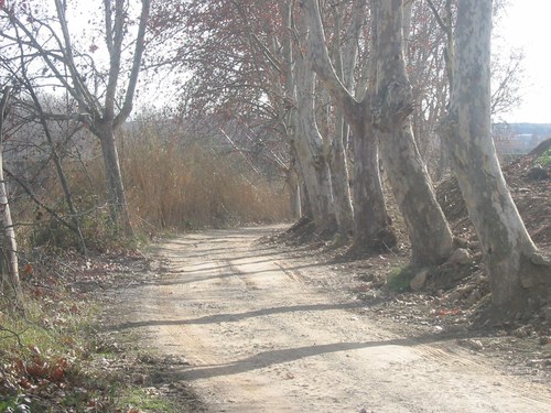 Imatge de la notícia La Paeria fa el manteniment anual dels camins de l'Horta