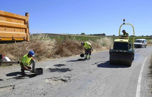 Imatge de la notícia La Paeria fa treballs de desbrossament de vorals i arranjament en 25 quilòmetres de camins de l'Horta