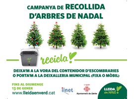 La Paeria fomenta el reciclatge amb la recollida d’arbres de Nadal