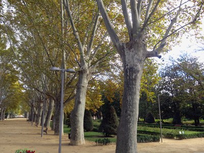 La Paeria inicia els treballs per l’elaboració del Pla dels Espais Verds de Lleida per definir uns parcs i espais verds òptims en biodiversitat, serveis i connectivitat 