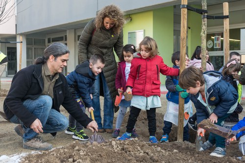 Imatge de la notícia La Paeria inicia la plantació prop d’una cinquantena d’arbres en els patis dels centres educatius de Lleida 