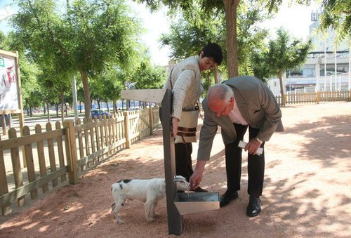 Imatge de la notícia La Paeria obre l'àrea d'esbarjo per a gossos de la plaça Maria Mercè Marçal de Cappont