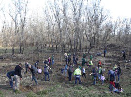 Imatge de la notícia La Paeria recupera amb una plantació popular la zona cremada a la Mitjana pels focs del 2017