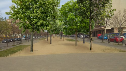 Imatge de la notícia La rambla de Pardinyes, camí de transformar-se en un bosc urbà 