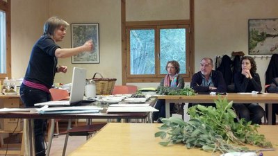 La Regidoria de Medi Ambient organitza un taller d'usos de plantes medicinals