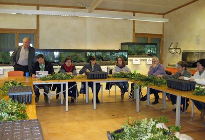 La Regidoria de Medi Ambient organitza un taller de tècniques per reproduir plantes