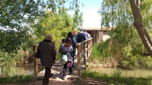 Imatge de la notícia Les Ecoactivitats estrenen visita a l'Estany d'Ivars aquesta primavera